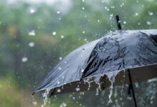 Pluie