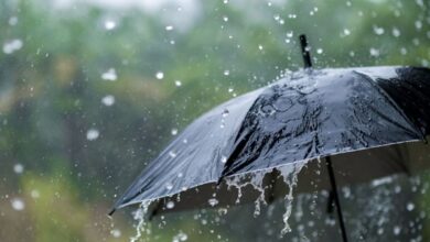 Pluie