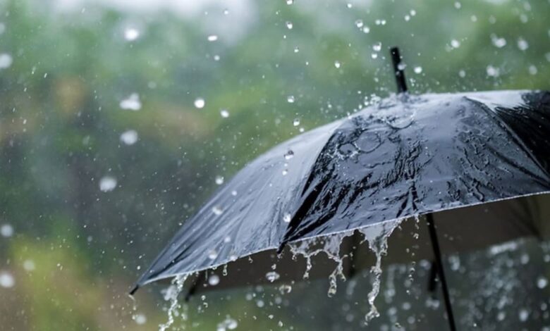Pluie