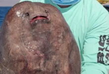 Poisson du Diable