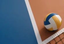 Volley-ball (5)