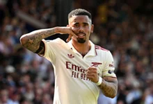 gabriel jesus