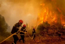 incendie-1-780x470