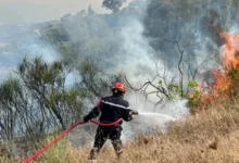 incendie tunisie