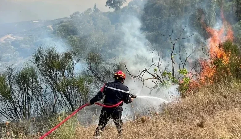incendie tunisie