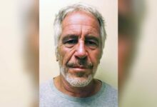 jeffrey epstein