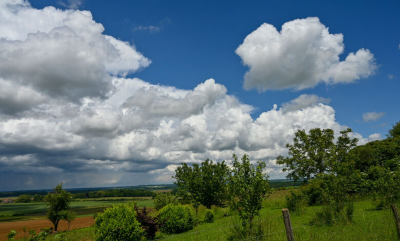 meteo