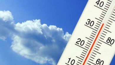 meteo