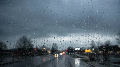 meteo