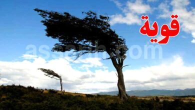 meteo-Tunisie-16