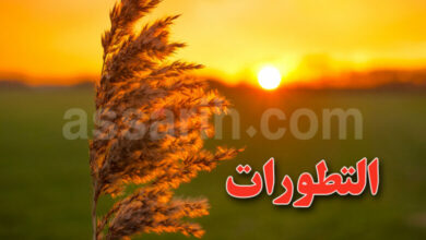 meteo-tunisie-13-780x470