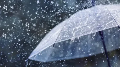 pluie