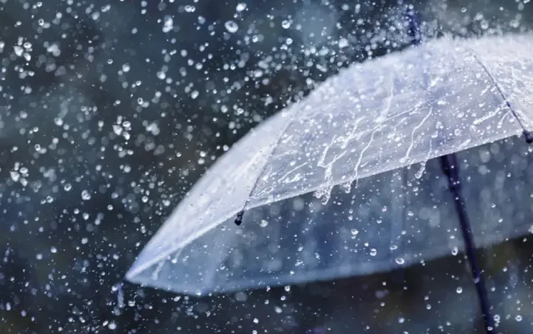 pluie