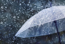 pluie