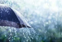 pluies