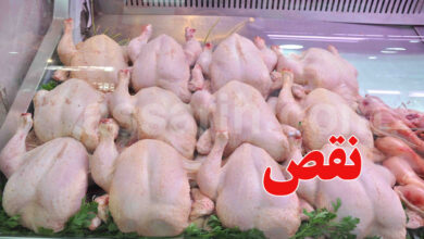 poulet