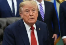 trump (24)