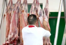 viandes rouges
