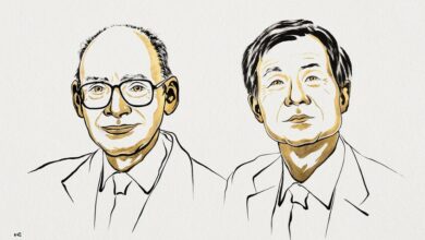 Le prix Nobel de chimie 2026 attribué à Henri Kagan et Kenso Soai