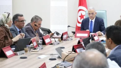 Minsitre de la santé Mustapha Ferjani