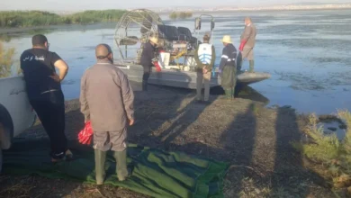 Pulvérisation de pesticides dans les salines de Sejoumi