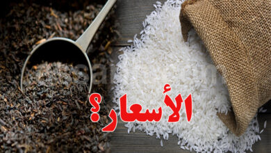 Thé et riz