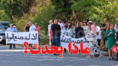 Usine de mouches noires Nabeul Menzel bouzalfa