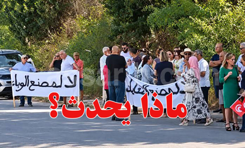 Usine de mouches noires Nabeul Menzel bouzalfa