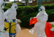 ebola canada virus