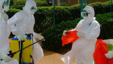 ebola canada virus