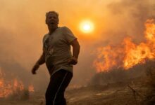 incendie algerie