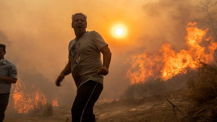 incendie algerie