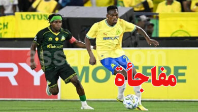 mamelodi sundowns
