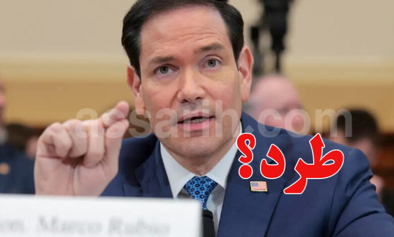 marco rubio