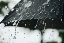 pluie (16)