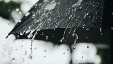 pluie (16)
