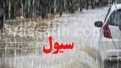 pluie (17)
