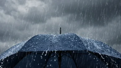 pluie