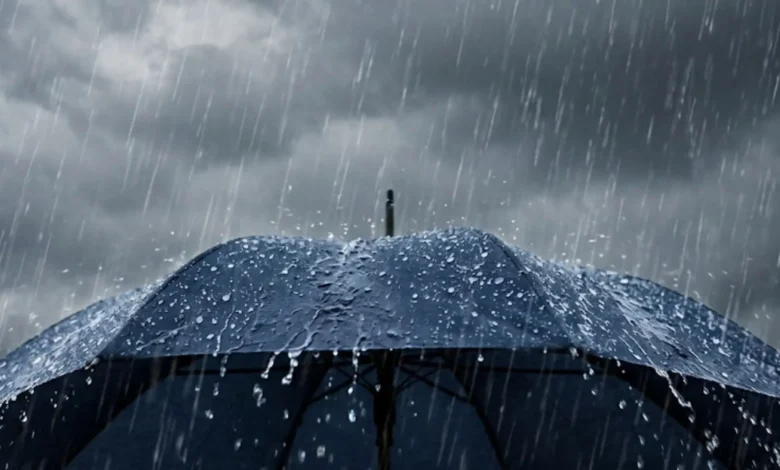 pluie