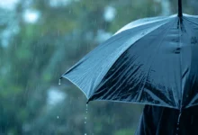 pluie