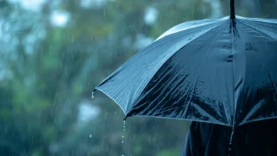 pluie