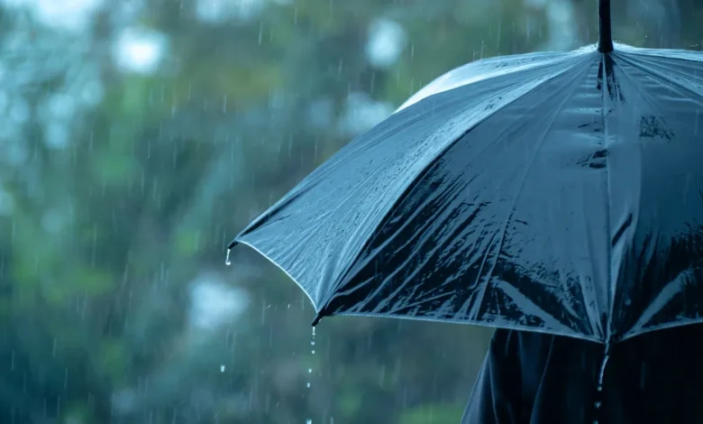 pluie