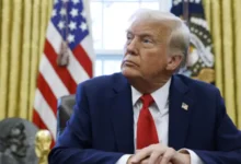 trump (28)