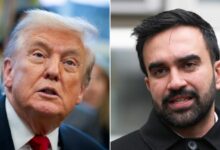 trump mamdani