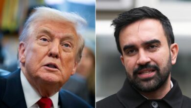 trump mamdani