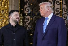 trump zelensky