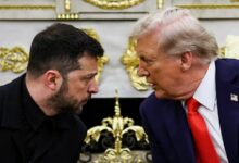 trump zelensky